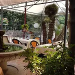 Nautilus