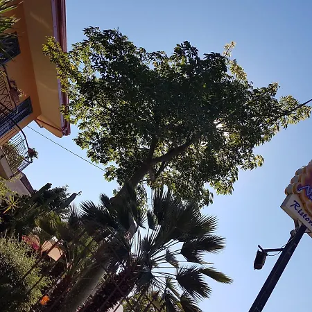 诺迪鲁斯酒店