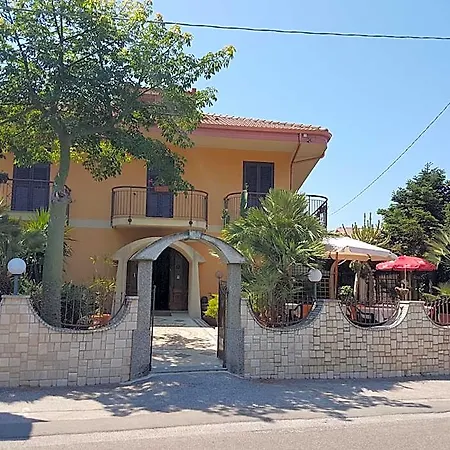 Nautilus